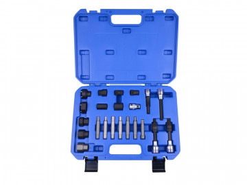 Набор специальных головок для ремонта генератора, 22 предмета KING TONY 9DA022